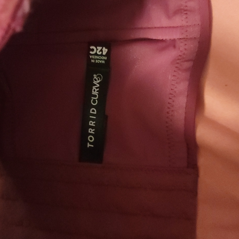 TORRID CURVE COLLECTION LONGLINE PUSH-UP STRAPLESS BRA:PINK/PURPLE: NWT: SZ 42C - Picture 3 of 4